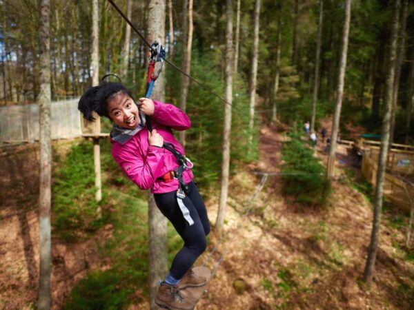 15% off Tree Top Adventures