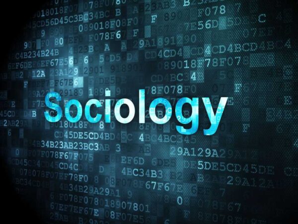 What Is Digital Sociology?