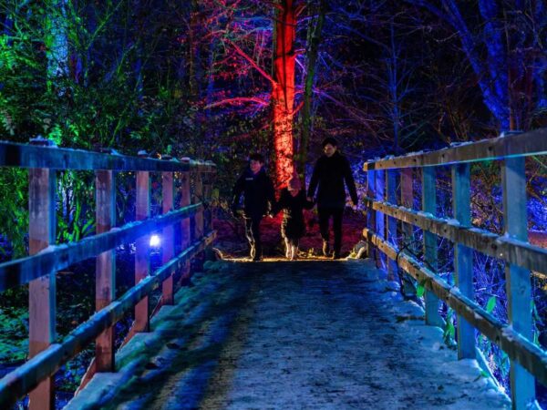 Enter to Win a Family Ticket to Monteviot Light Trail