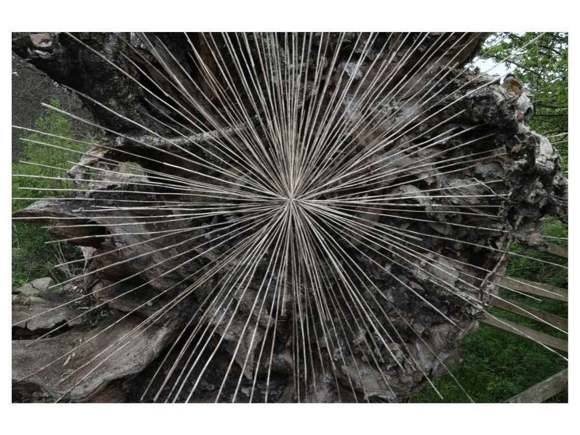 Concession Priced Tickets to Andy Goldsworthy: Fifty Years at the Royal Scottish Academy