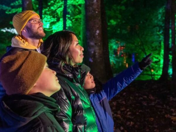 Enter to Win a Family Ticket to The Enchanted Forest