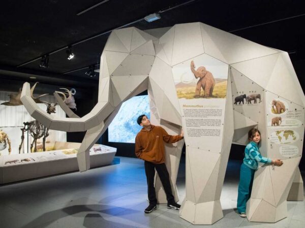 Discounted Tickets to ‘Giants’ at National Museum of Scotland
