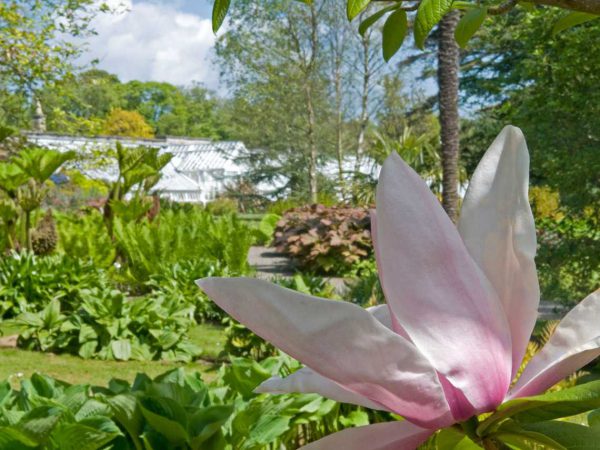 National Trust for Scotland – £1 entry to gardens and grounds