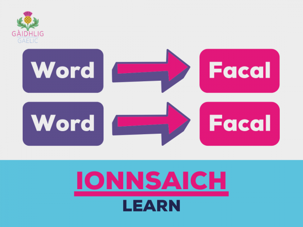 Gaelic Vocab Lists