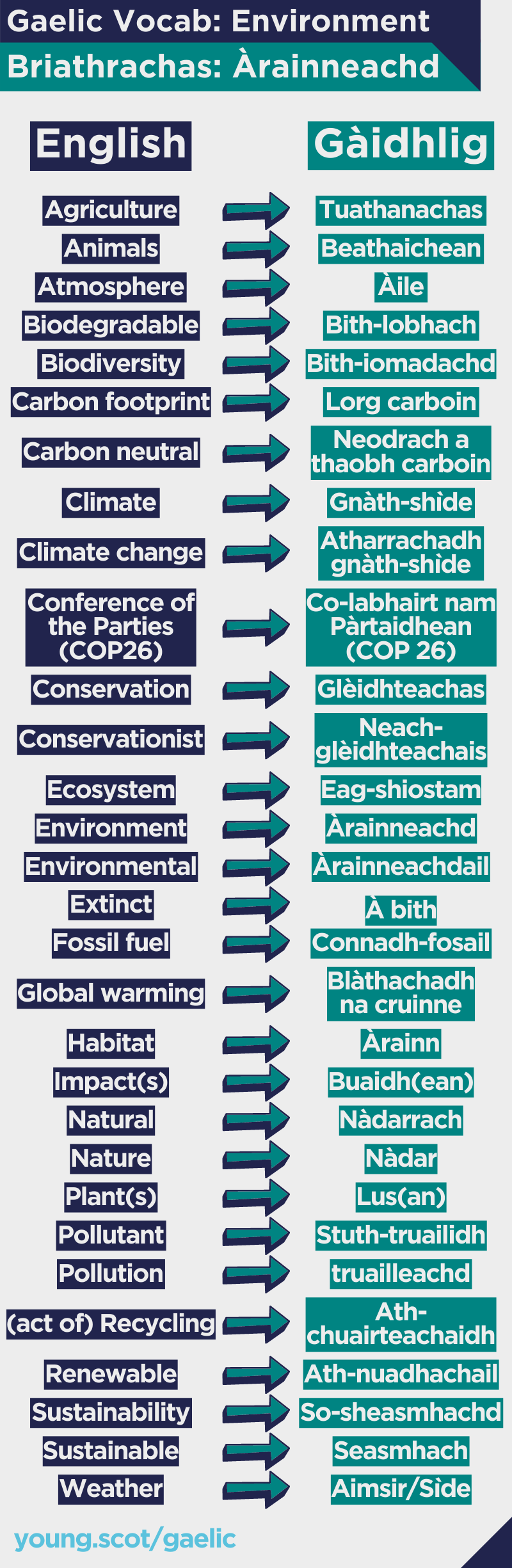 Vocab list: The Environment (text version below)