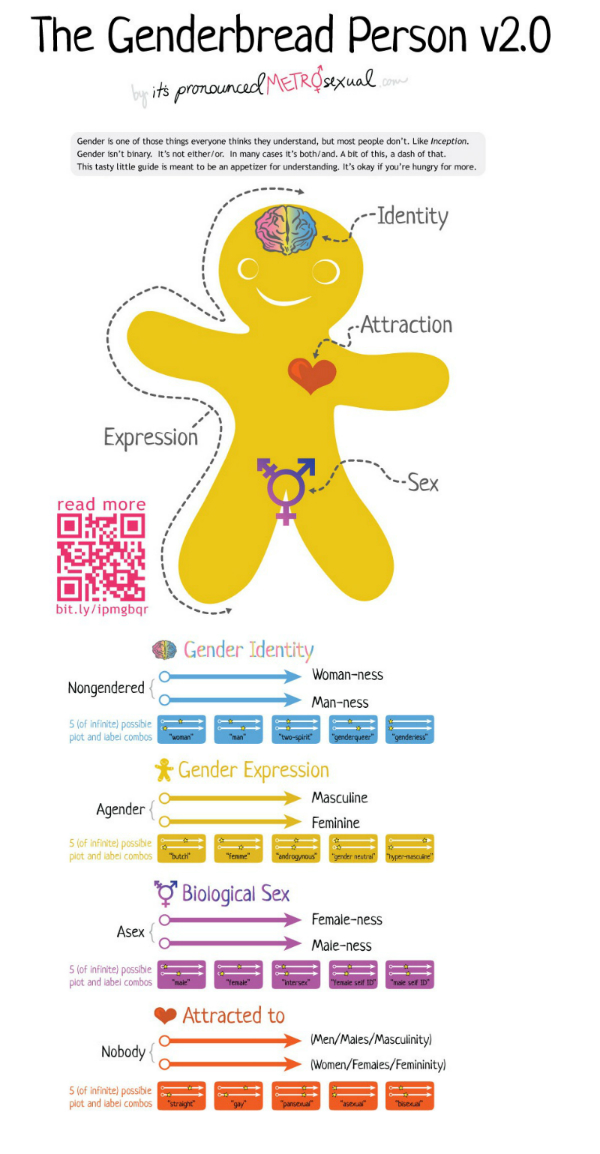 Understanding gender identity infograph