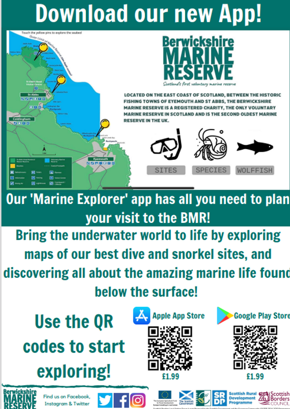 Download the Berwickshire Marine Reserve App from the Apple App Store or Google Play Store