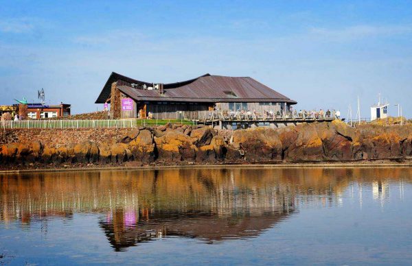 Scottish Seabird Centre – 20% off adult tickets
