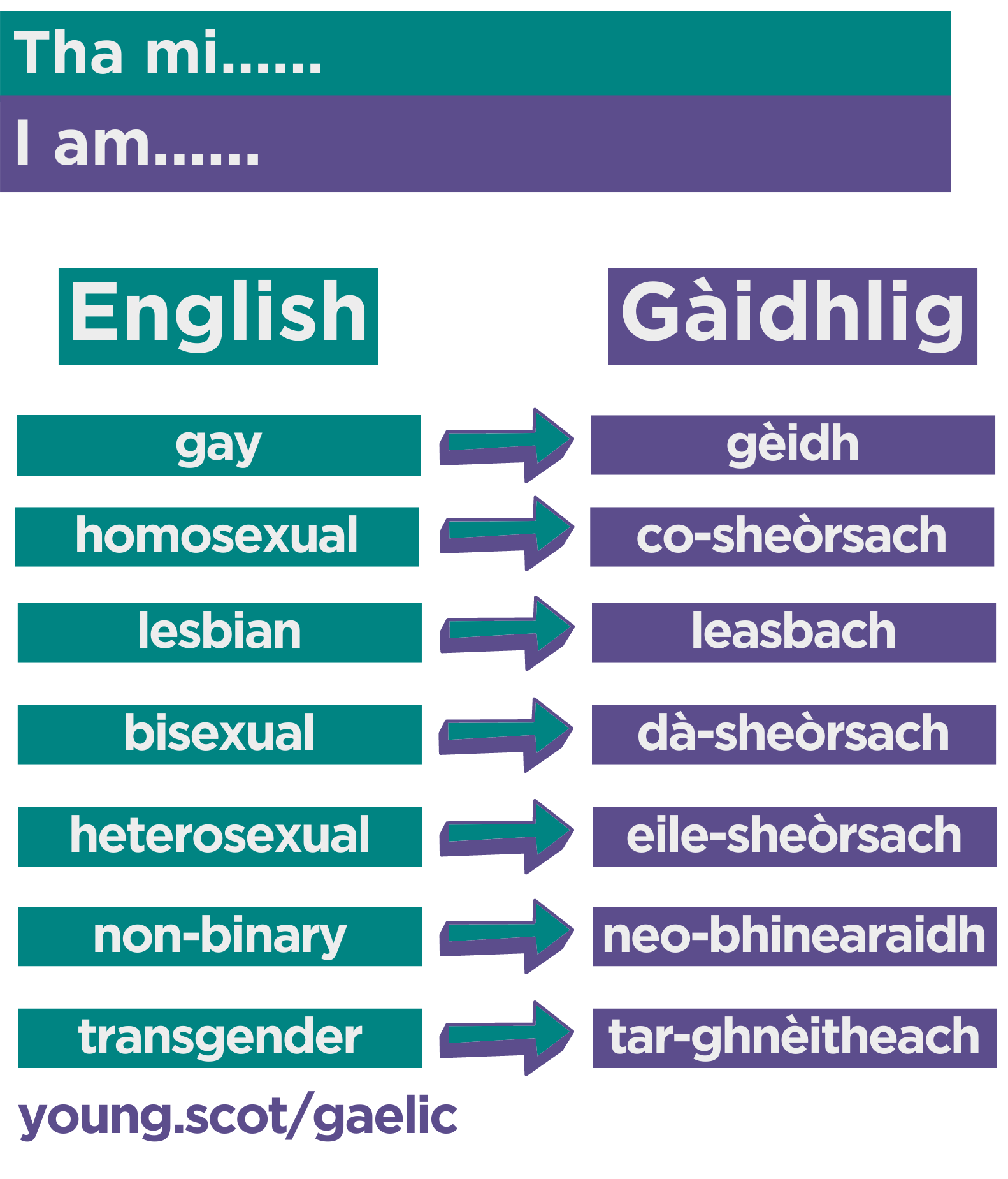 gay = gèidh homosexual = co-sheòrsach lesbian = leasbach bisexual = dà-sheòrsach heterosexual = eile-sheòrsach non-binary = neo-bhinearaidh